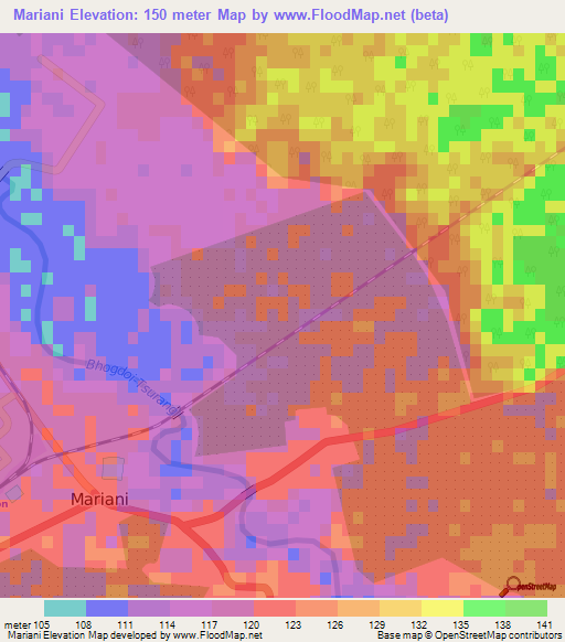 Mariani,India Elevation Map