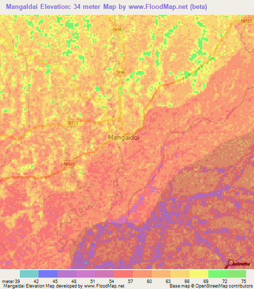 Mangaldai,India Elevation Map