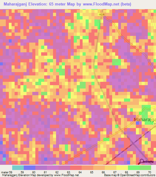 Maharajganj,India Elevation Map