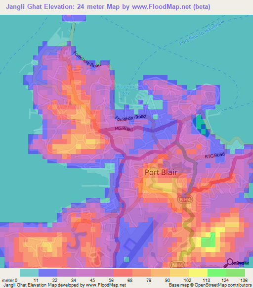 Jangli Ghat,India Elevation Map