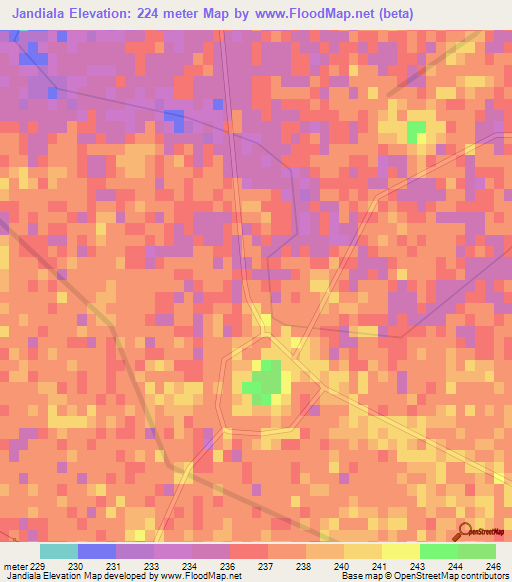 Jandiala,India Elevation Map