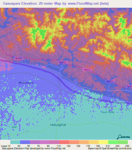Gasuapara,India Elevation Map