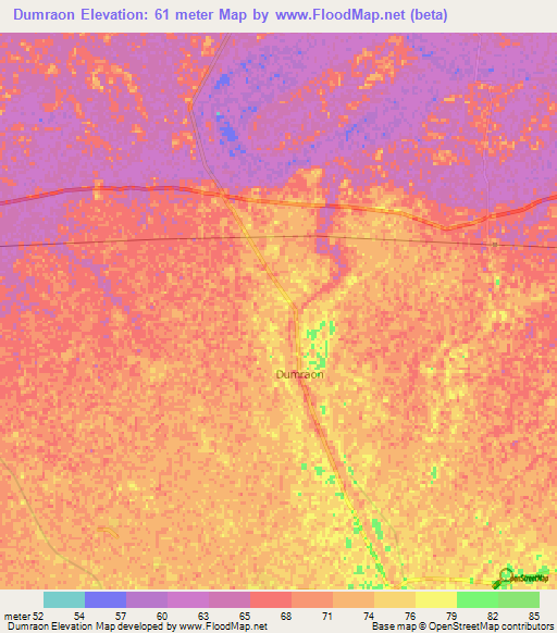 Dumraon,India Elevation Map