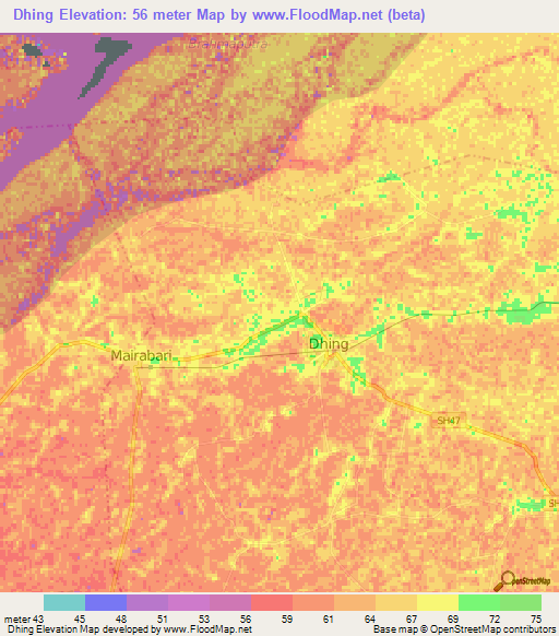 Dhing,India Elevation Map