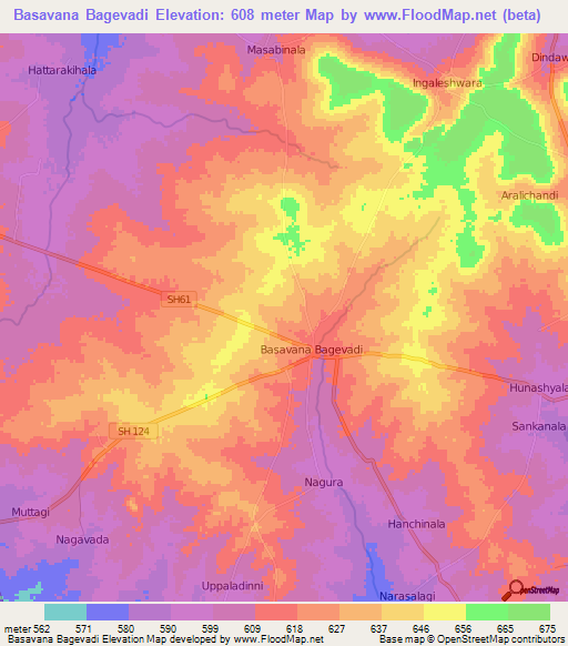 Basavana Bagevadi,India Elevation Map