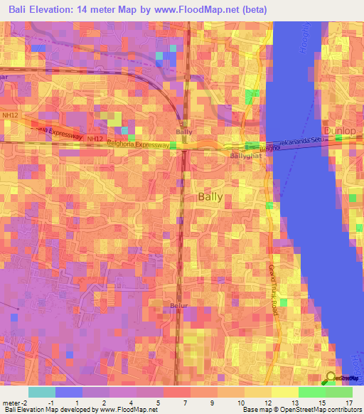 Bali,India Elevation Map