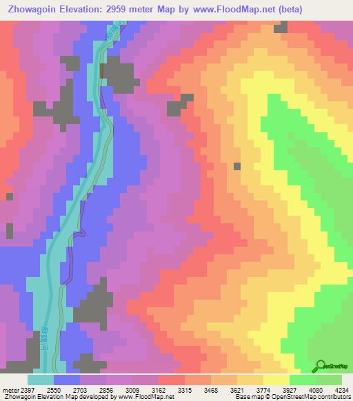 Zhowagoin,China Elevation Map