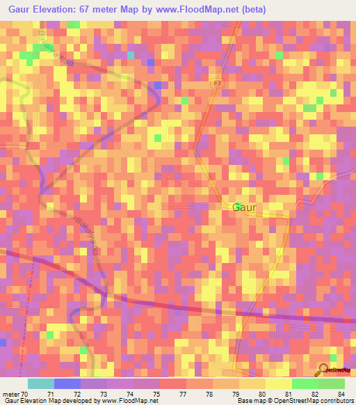 Gaur,Nepal Elevation Map