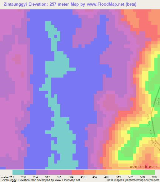 Zintaunggyi,Myanmar Elevation Map
