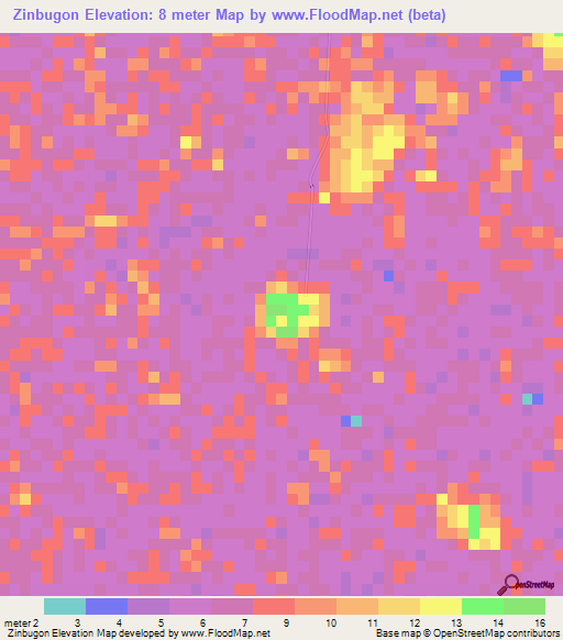 Zinbugon,Myanmar Elevation Map