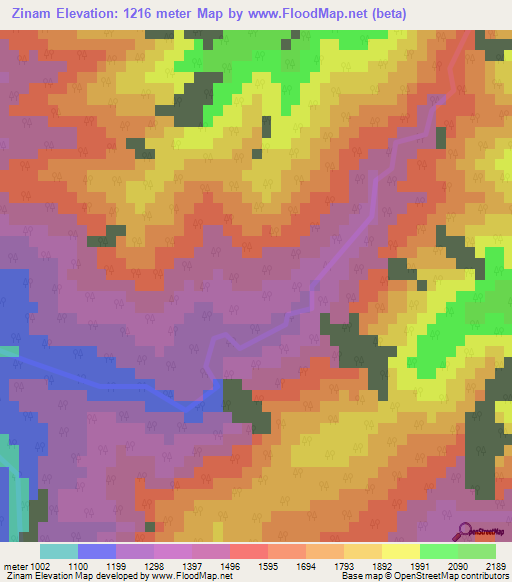 Zinam,Myanmar Elevation Map
