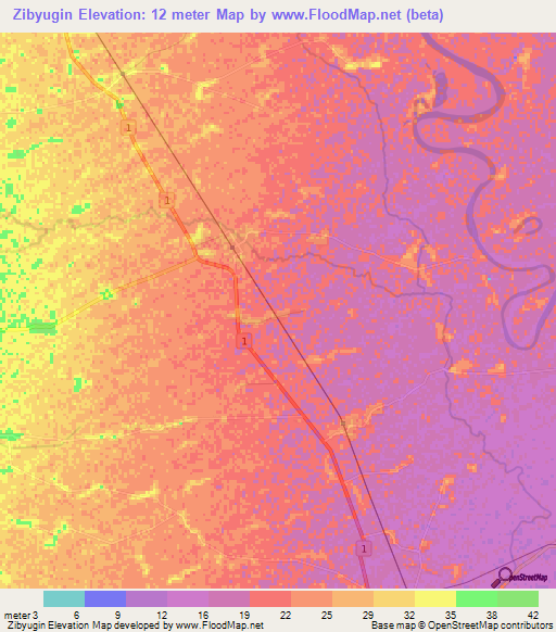 Zibyugin,Myanmar Elevation Map