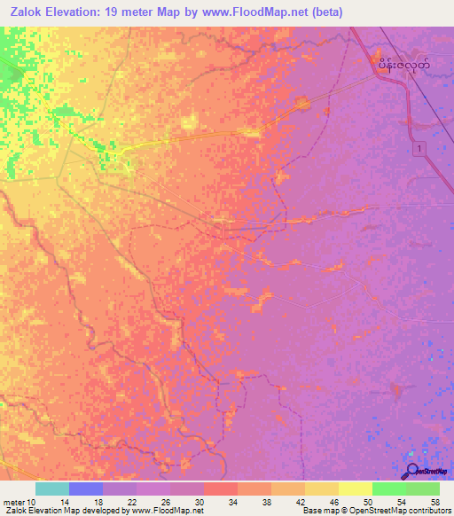 Zalok,Myanmar Elevation Map