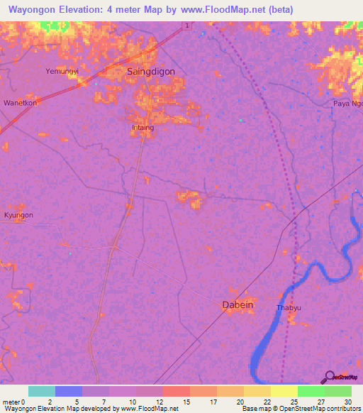 Wayongon,Myanmar Elevation Map