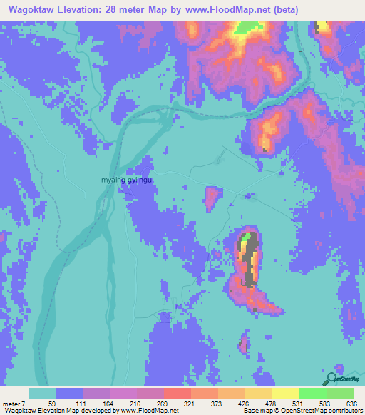 Wagoktaw,Myanmar Elevation Map
