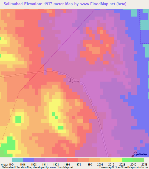Salimabad,Iran Elevation Map