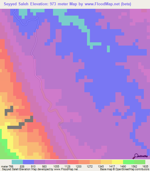 Seyyed Saleh,Iran Elevation Map