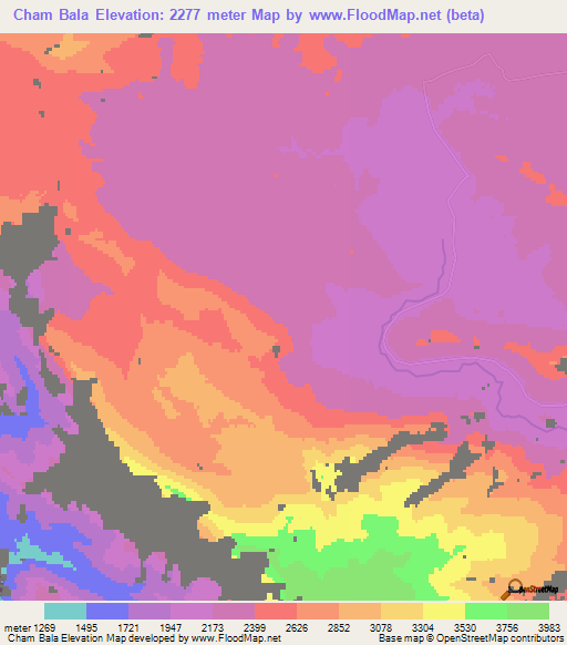 Cham Bala,Iran Elevation Map