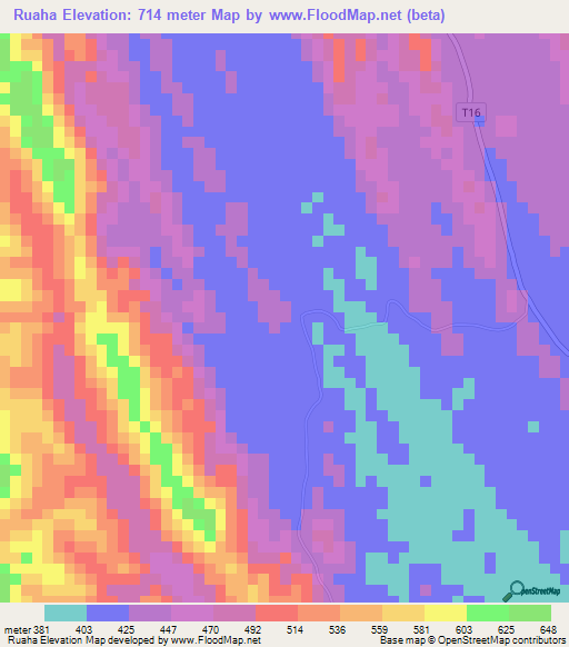 Ruaha,Tanzania Elevation Map