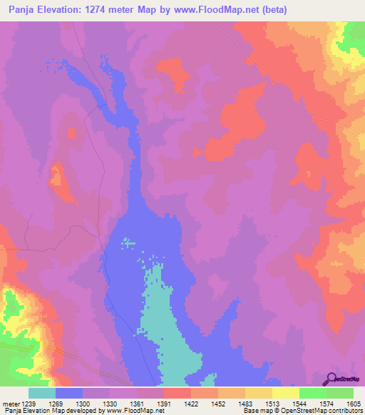 Panja,Tanzania Elevation Map