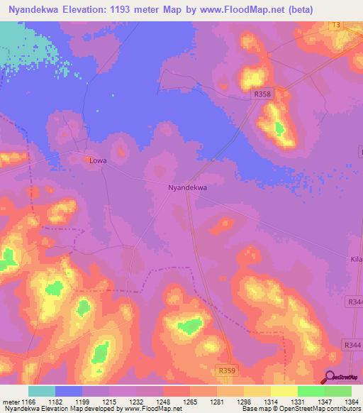 Nyandekwa,Tanzania Elevation Map