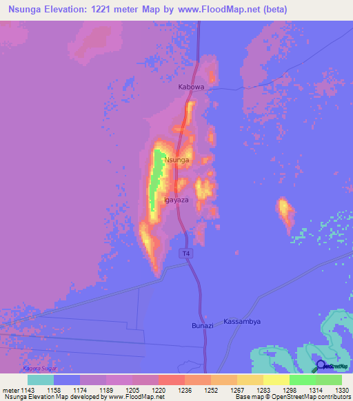 Nsunga,Tanzania Elevation Map