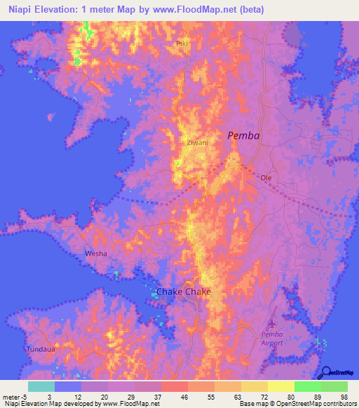 Niapi,Tanzania Elevation Map