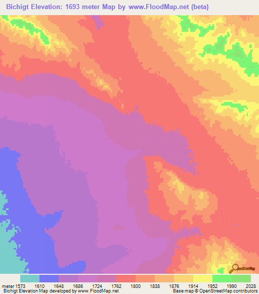 Bichigt,Mongolia Elevation Map