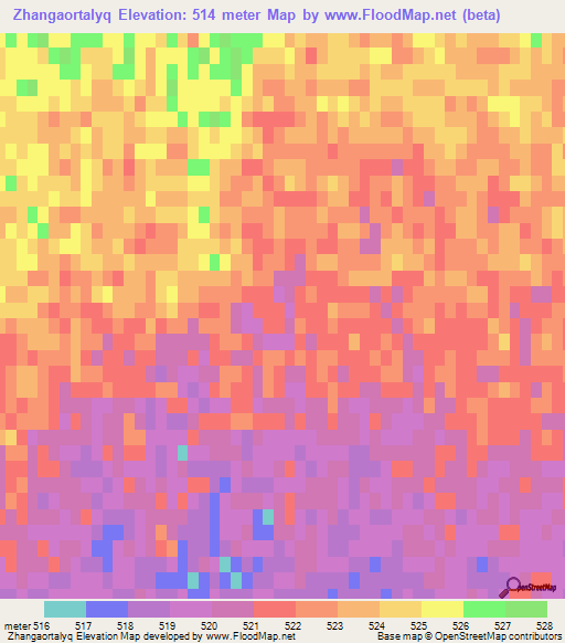 Zhangaortalyq,Kazakhstan Elevation Map