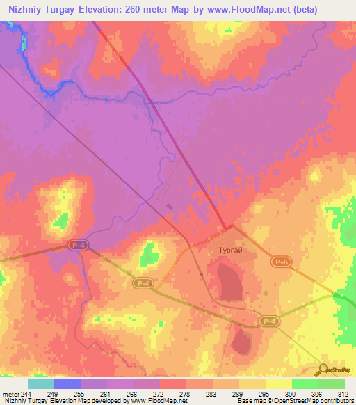 Nizhniy Turgay,Kazakhstan Elevation Map