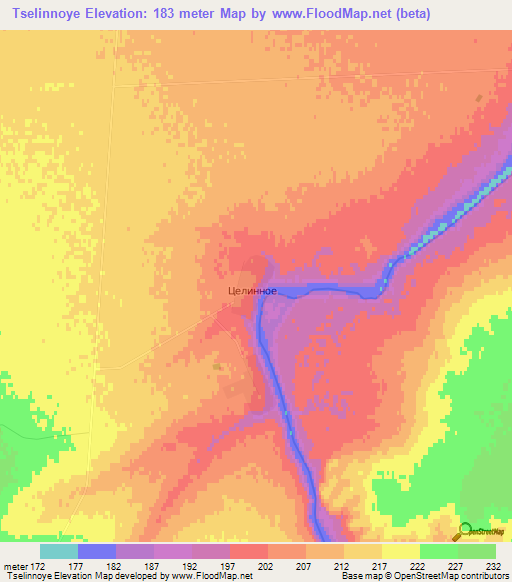 Tselinnoye,Kazakhstan Elevation Map