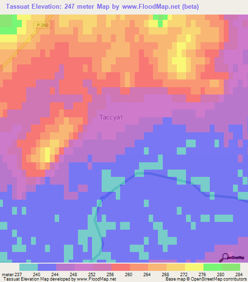 Tassuat,Kazakhstan Elevation Map
