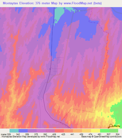 Montaytas,Kazakhstan Elevation Map