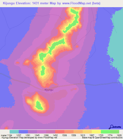Kijungu,Tanzania Elevation Map