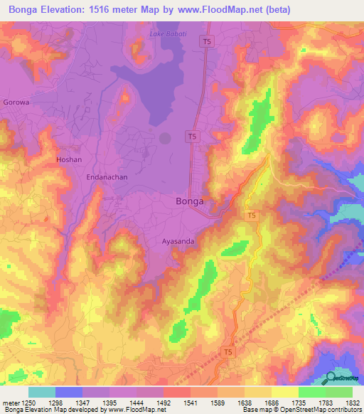 Bonga,Tanzania Elevation Map