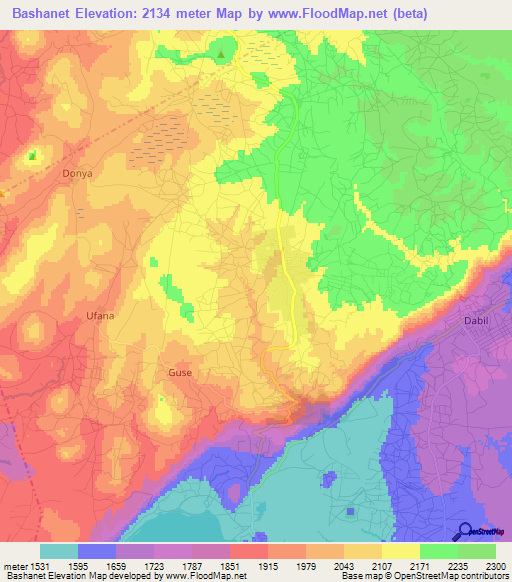 Bashanet,Tanzania Elevation Map