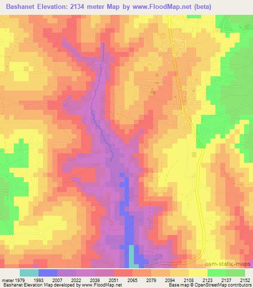 Bashanet,Tanzania Elevation Map