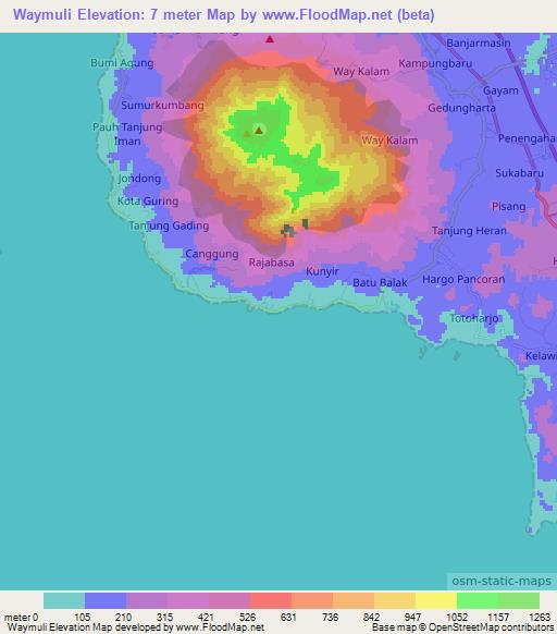 Waymuli,Indonesia Elevation Map