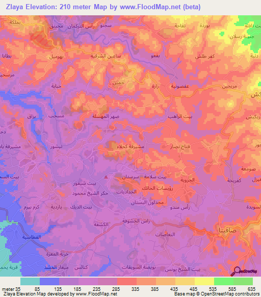 Zlaya,Syria Elevation Map