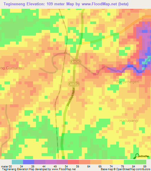 Tegineneng,Indonesia Elevation Map