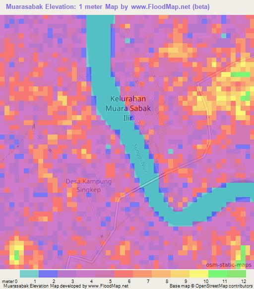 Muarasabak,Indonesia Elevation Map