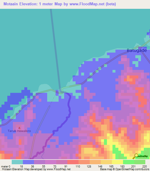 Motaain,East Timor Elevation Map