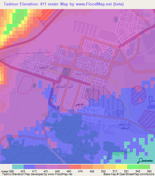 Tadmur,Syria Elevation Map