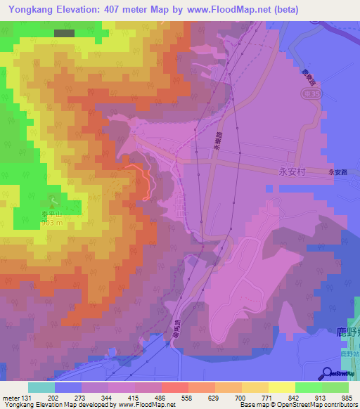Yongkang,Taiwan Elevation Map