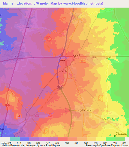 Malihah,Syria Elevation Map