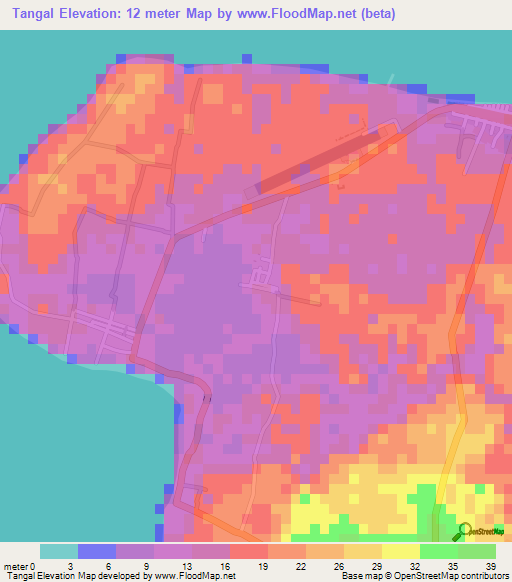 Tangal,Philippines Elevation Map