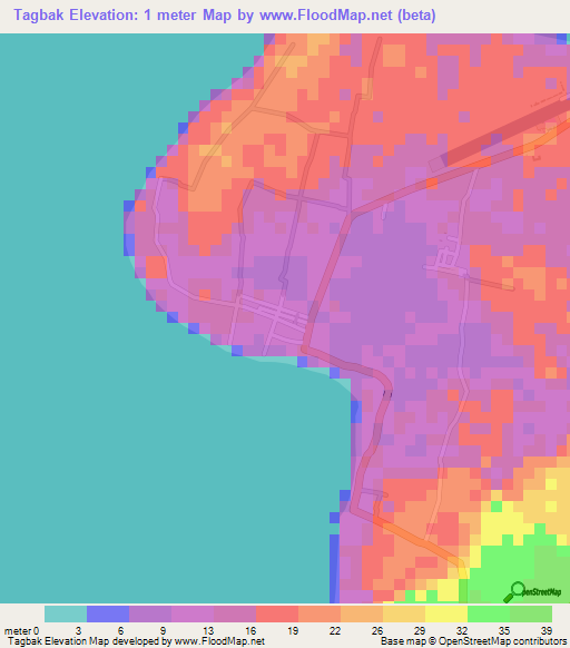 Tagbak,Philippines Elevation Map