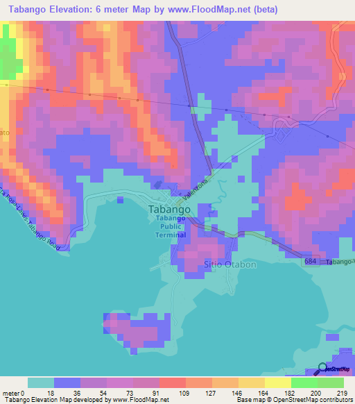 Tabango,Philippines Elevation Map