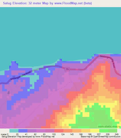 Salug,Philippines Elevation Map