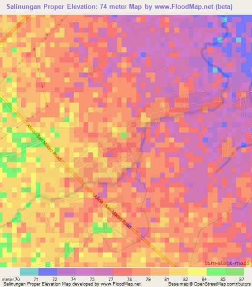 Salinungan Proper,Philippines Elevation Map